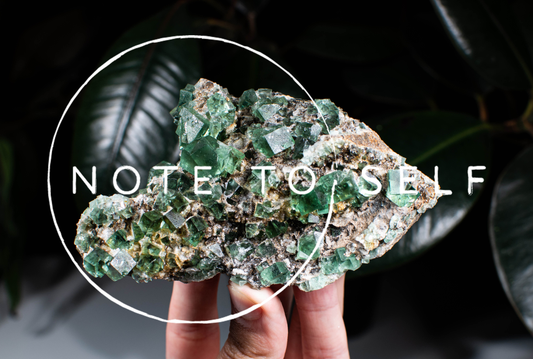 The New Note To Self