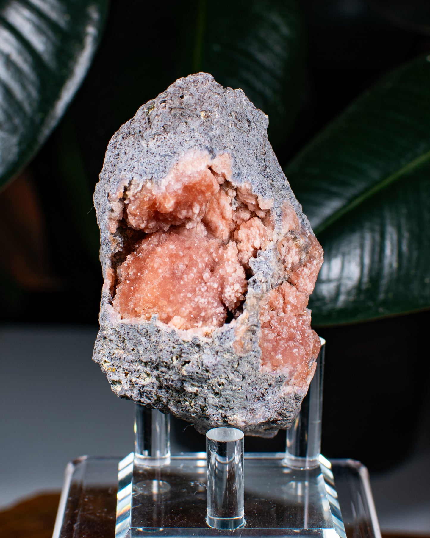 Pink Quartz