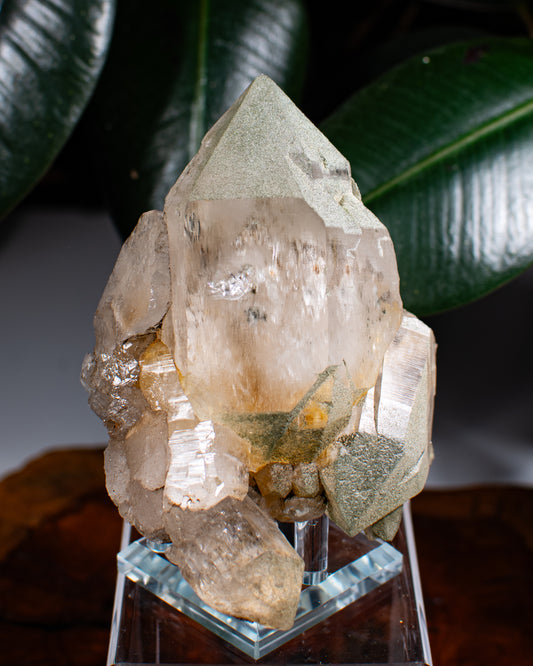 Himalayan Chlorite Quartz Cluster