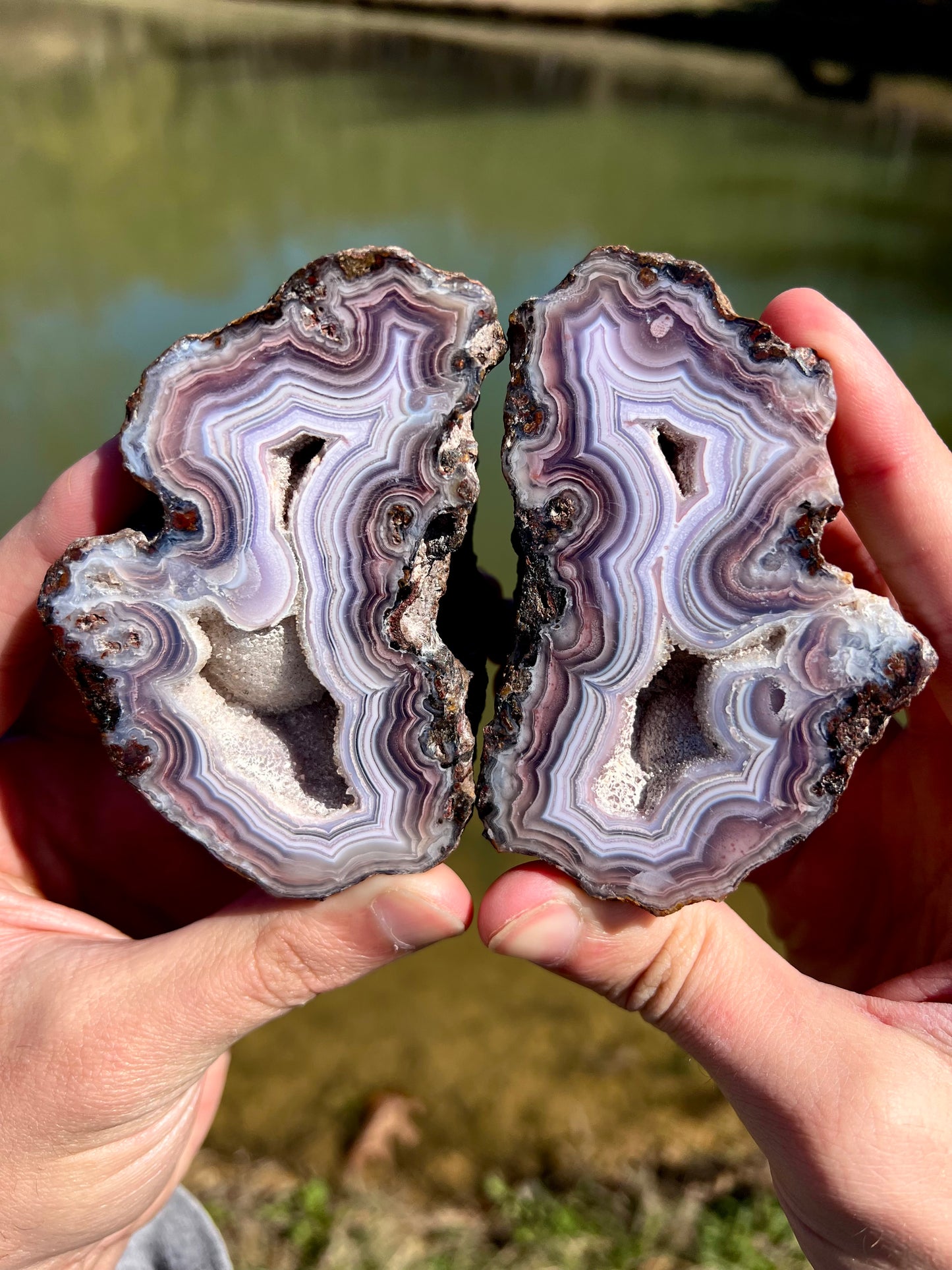 Mexican Agate Pair