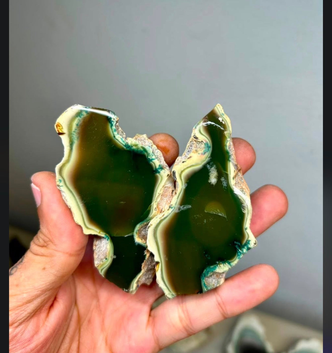 osageorange88
