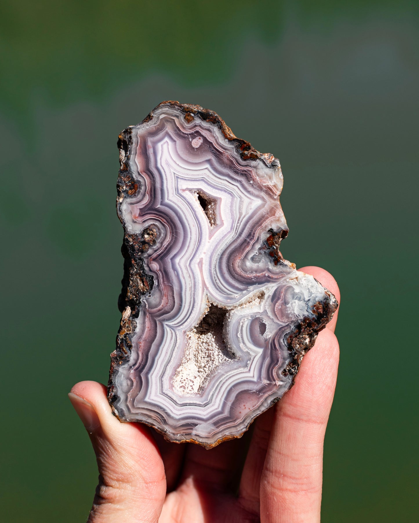 Mexican Agate Pair