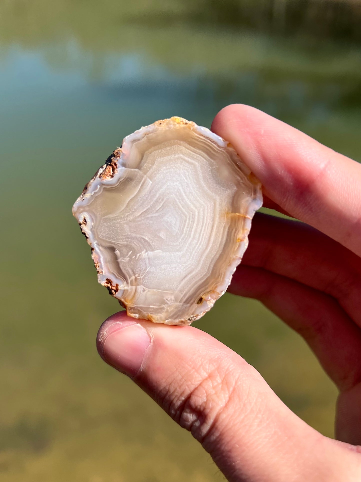 Mexican Agate Pair