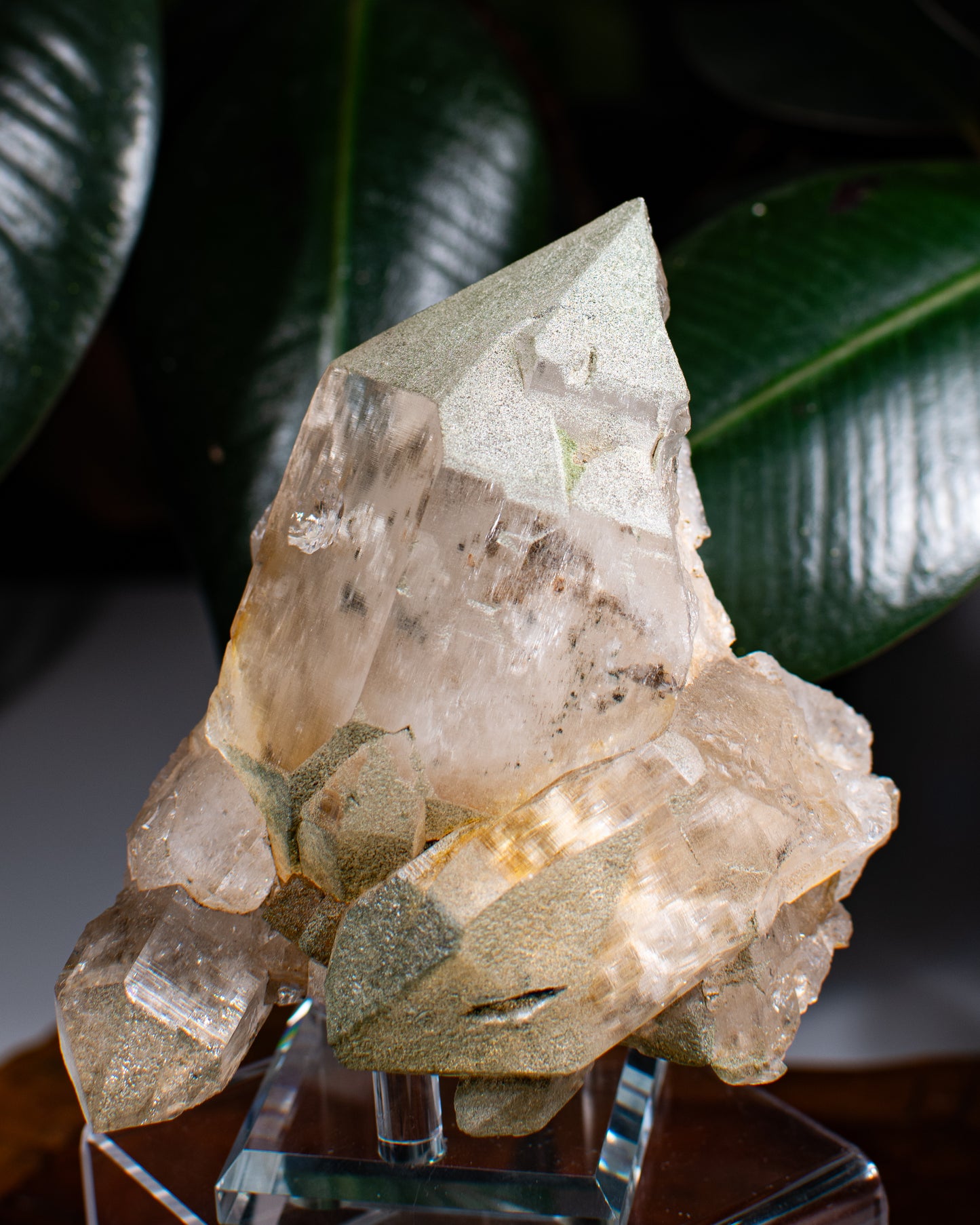 Himalayan Chlorite Quartz Cluster