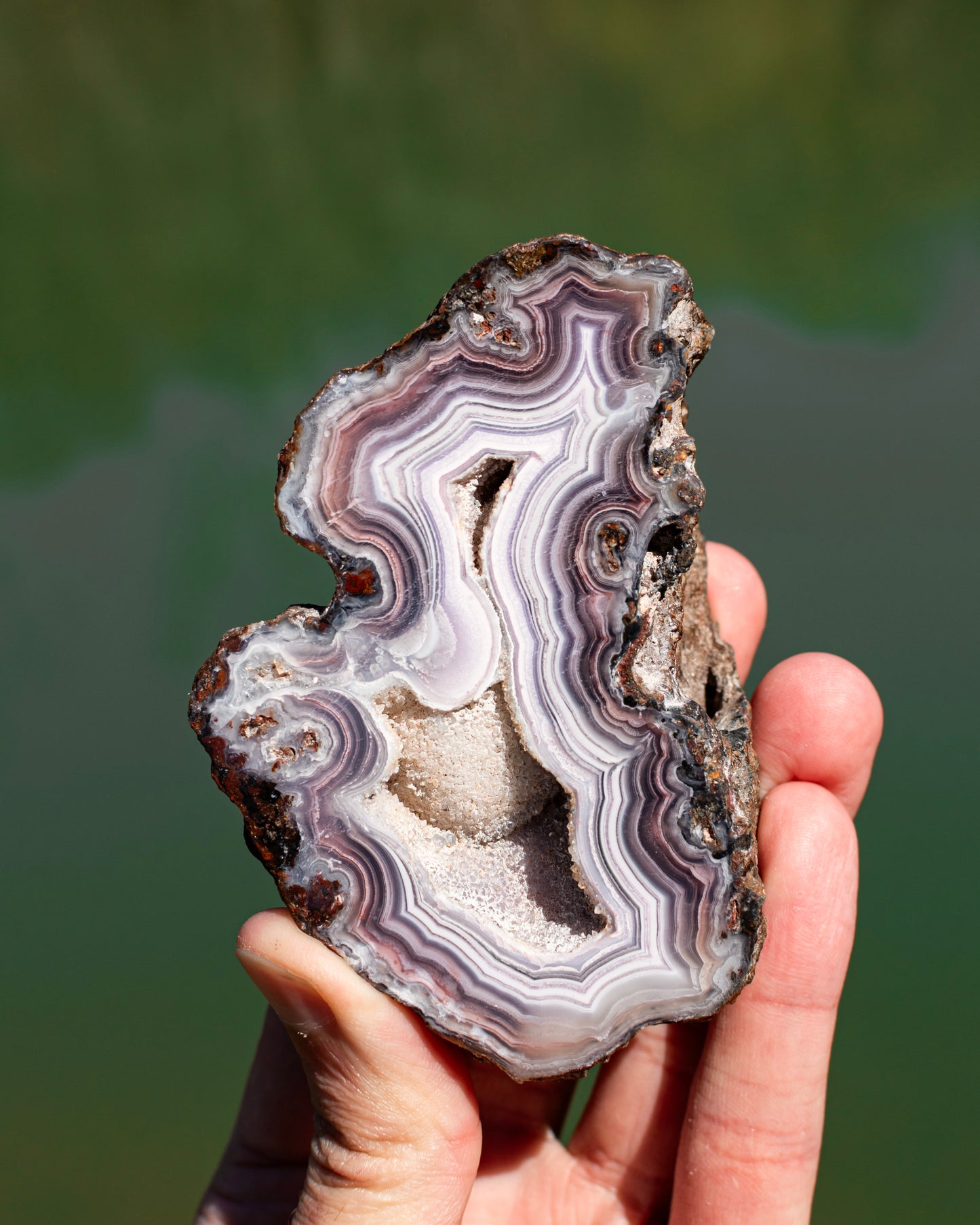 Mexican Agate Pair