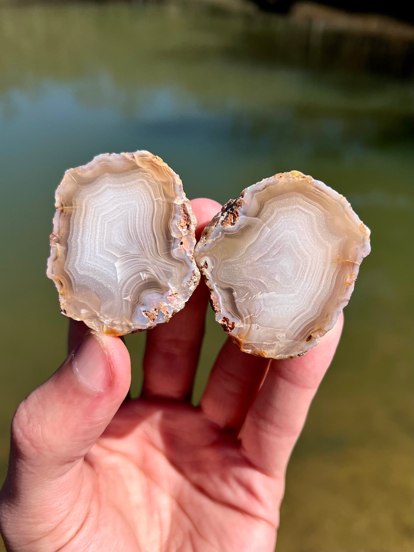 Mexican Agate Pair