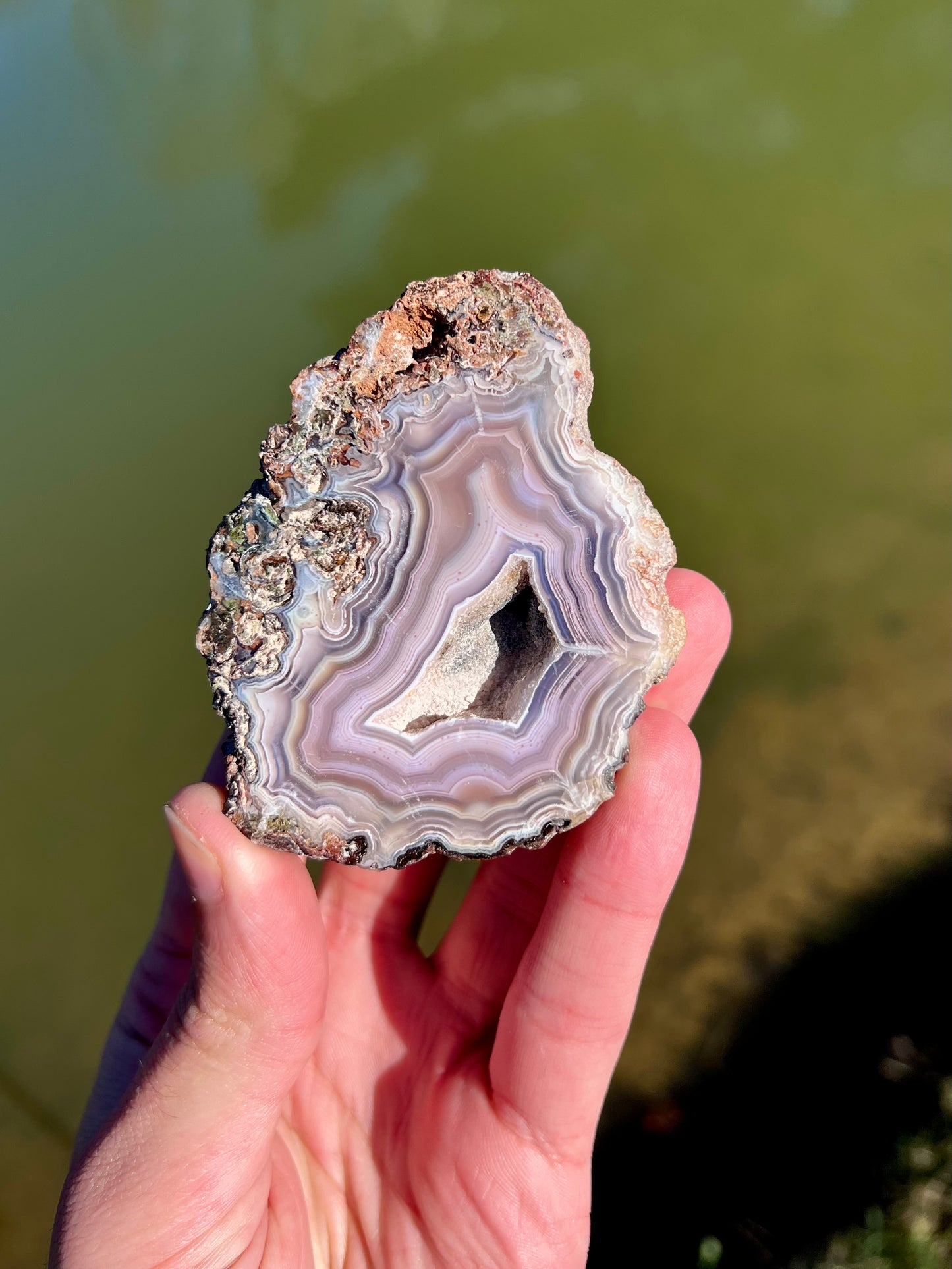 Mexican Agate Pair