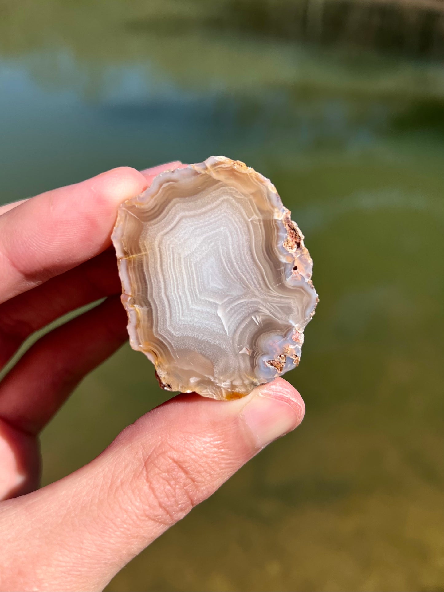 Mexican Agate Pair