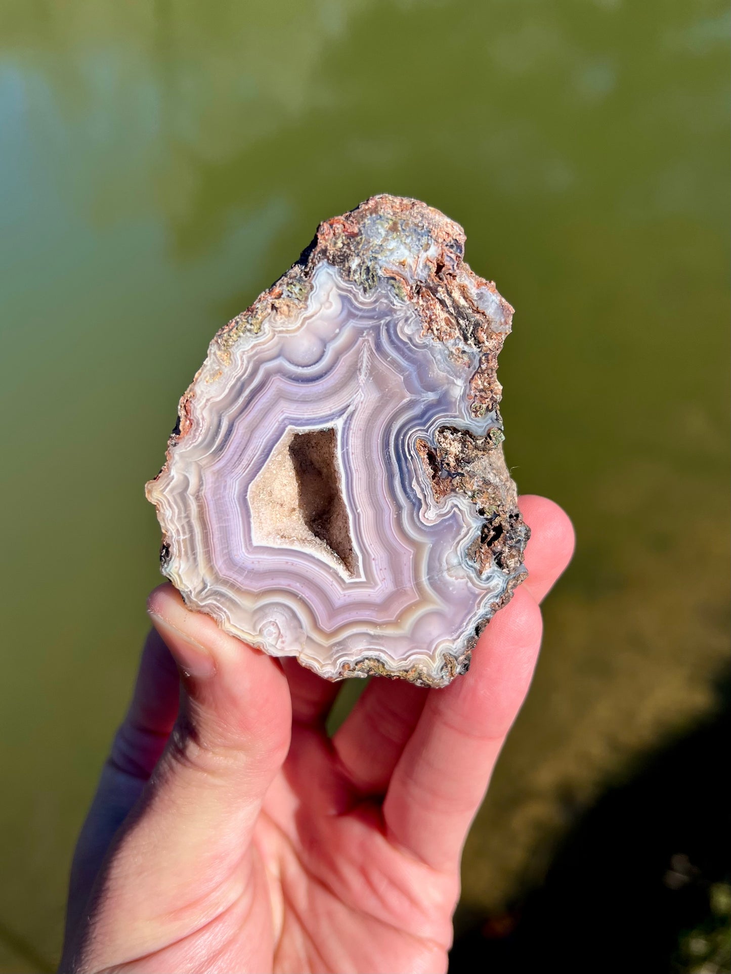 Mexican Agate Pair
