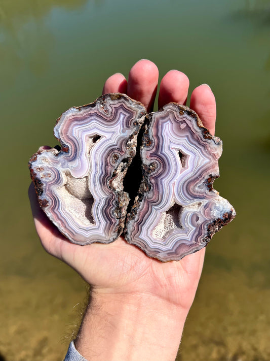 Mexican Agate Pair