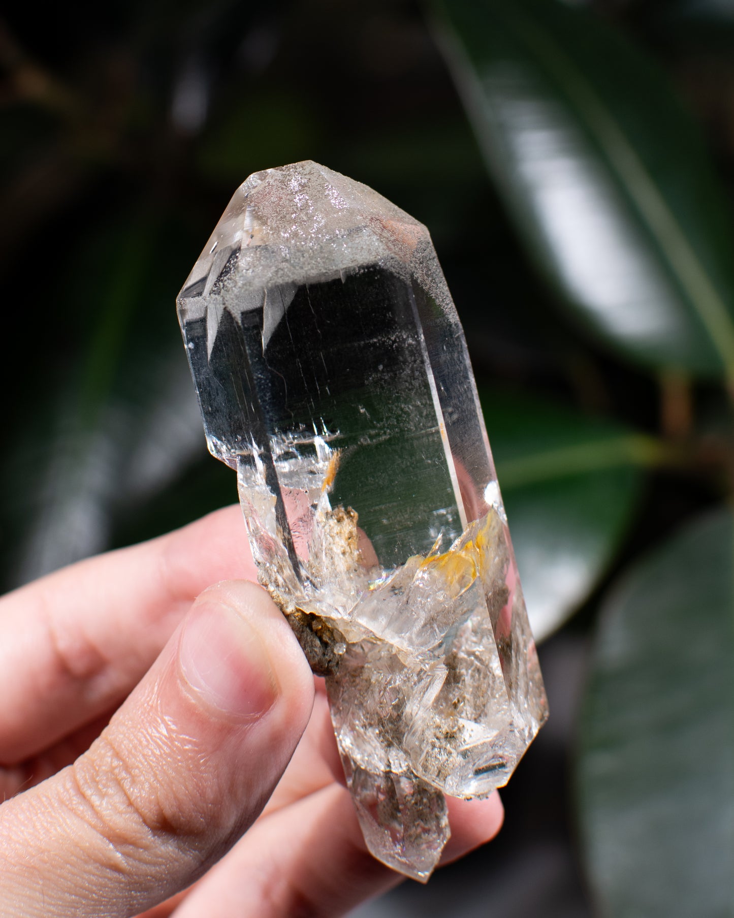 Himalayan Chlorite Quartz Point