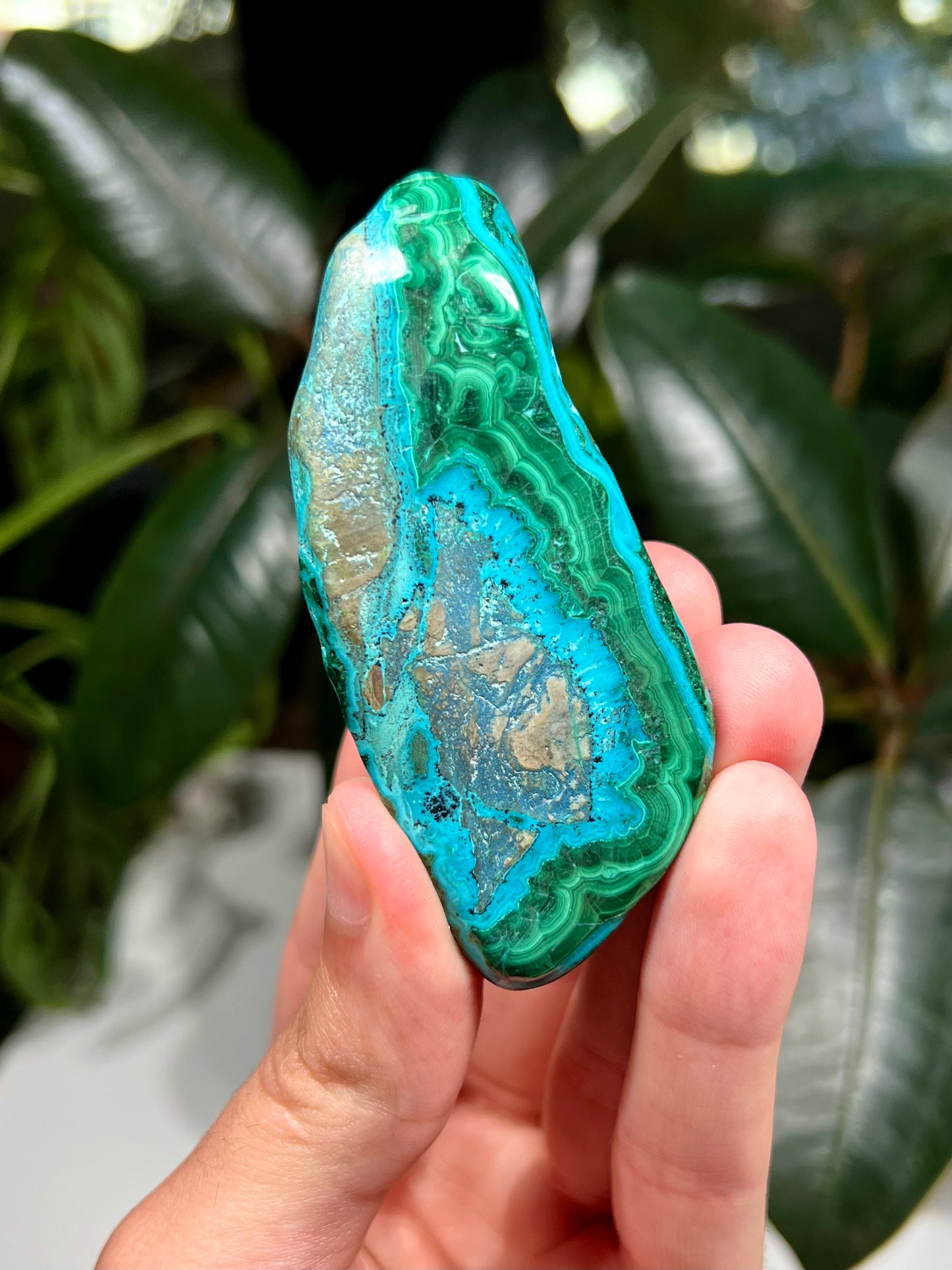 Chrysocolla and Malachite Freeform