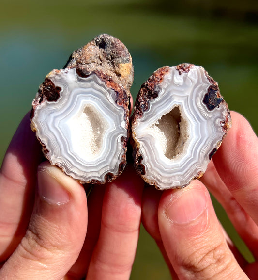 Mexican Agate Pair