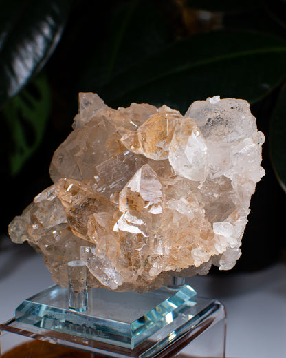 Himalayan Ice Quartz