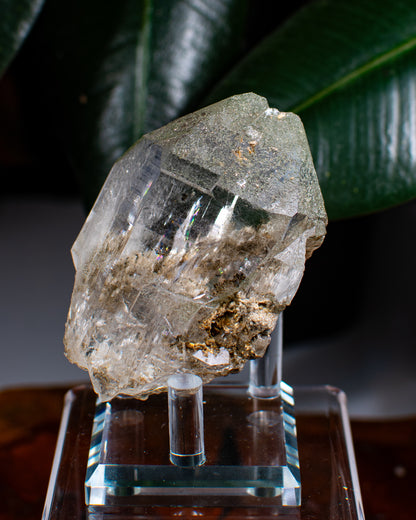 Himalayan Chlorite Quartz Point