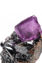 Load image into Gallery viewer, Fluorite with Sphalerite - Elmwood Mine, Carthage, Smith County, Tennessee
