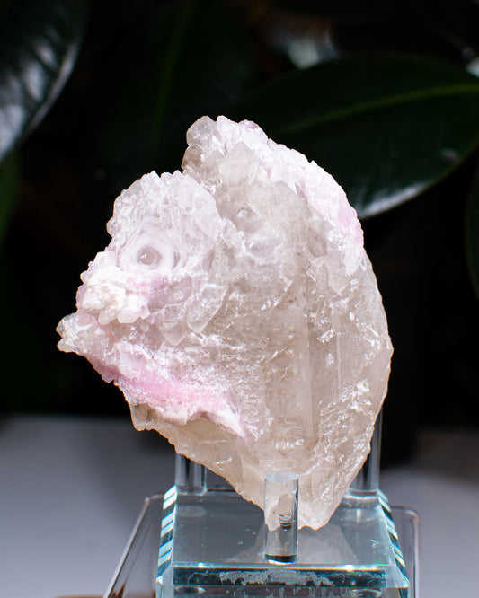 Rose Quartz on Quartz