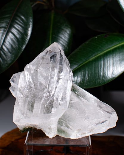 Himalayan Chlorite Quartz Cluster