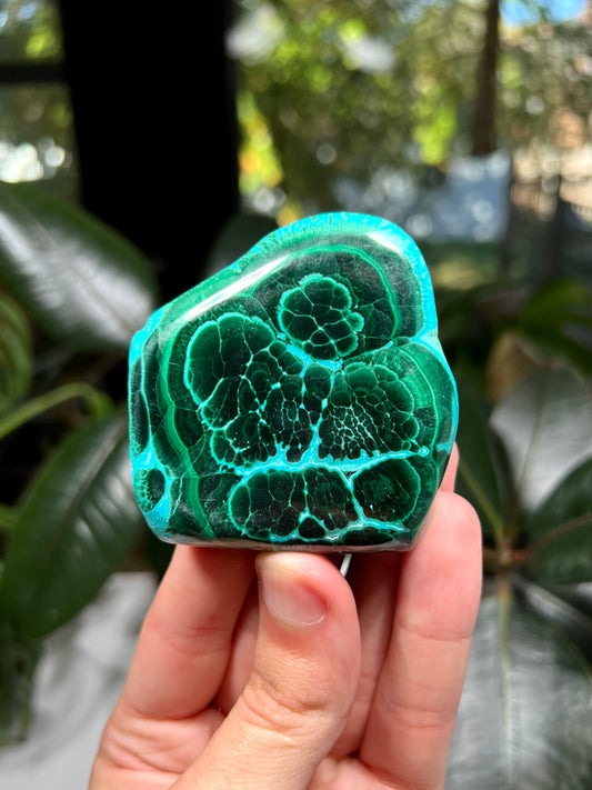 Malachite and Chrysocolla Freeform