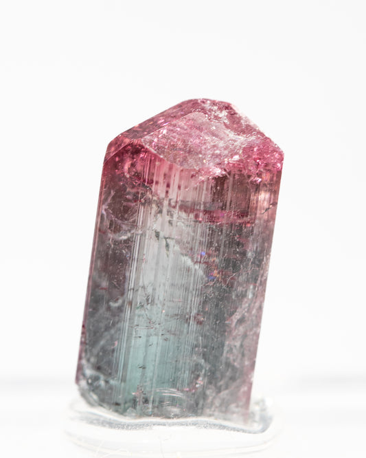 Pedeneira. Tourmaline