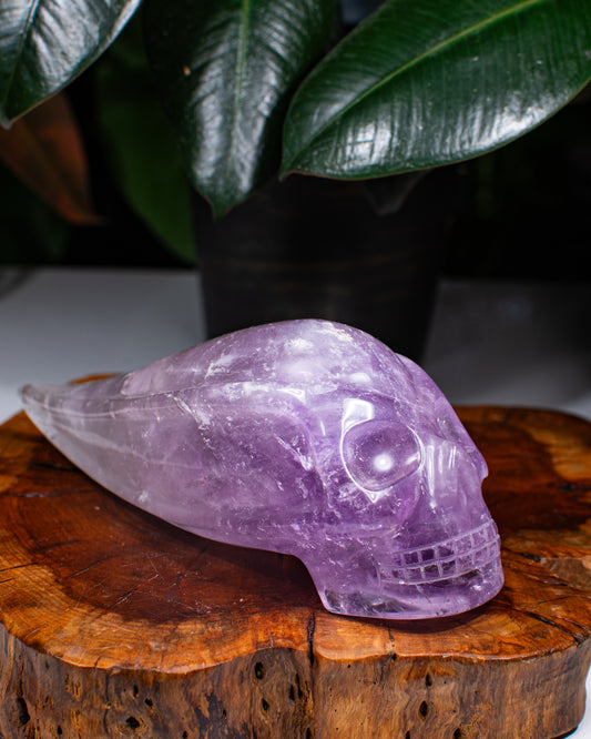 Amethyst Traveler Skull