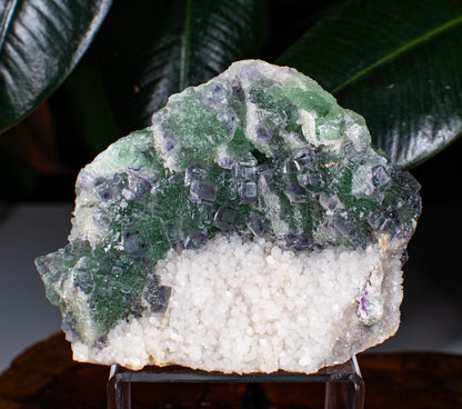 Fluorite on Quartz