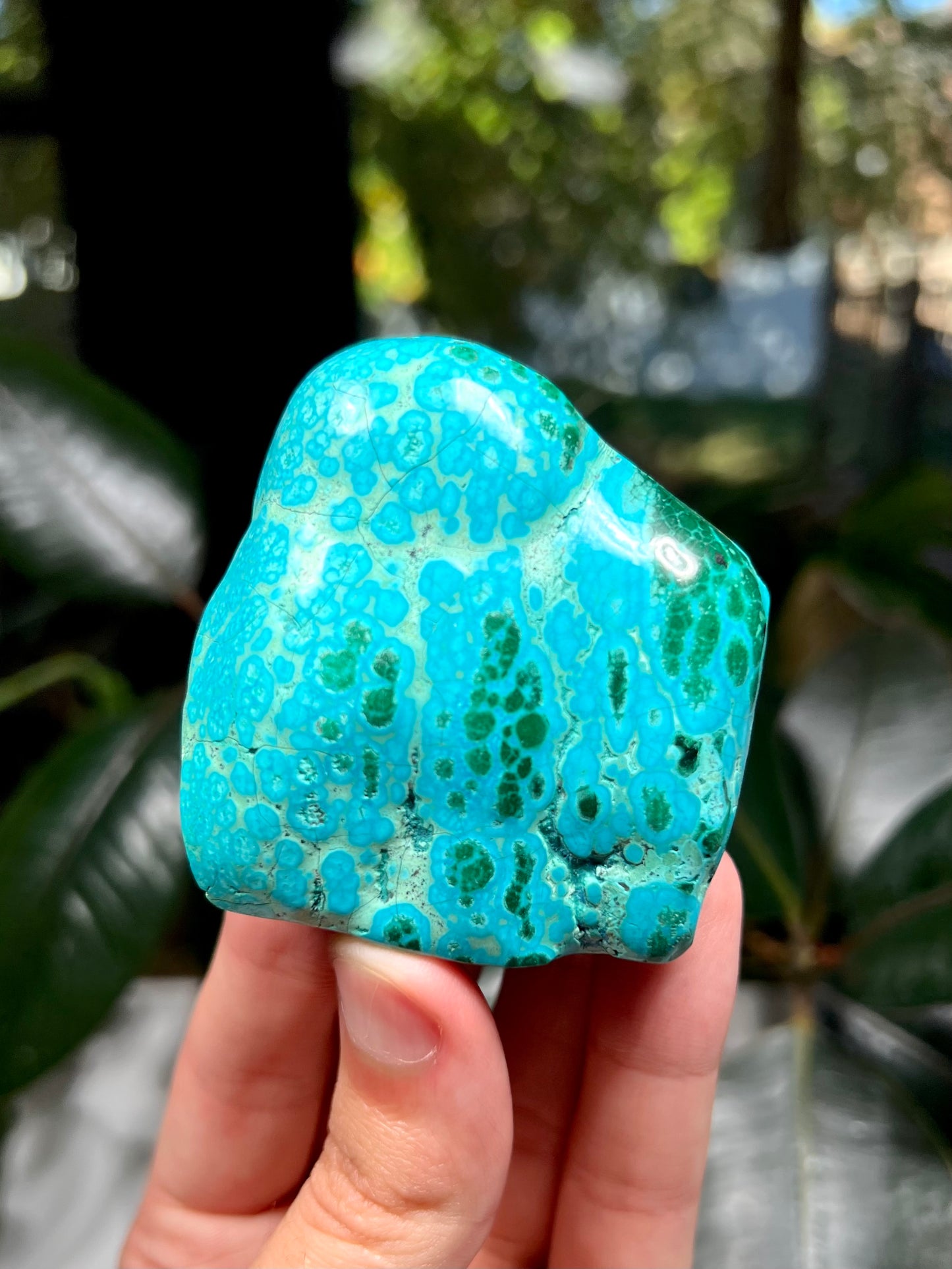 Malachite and Chrysocolla Freeform