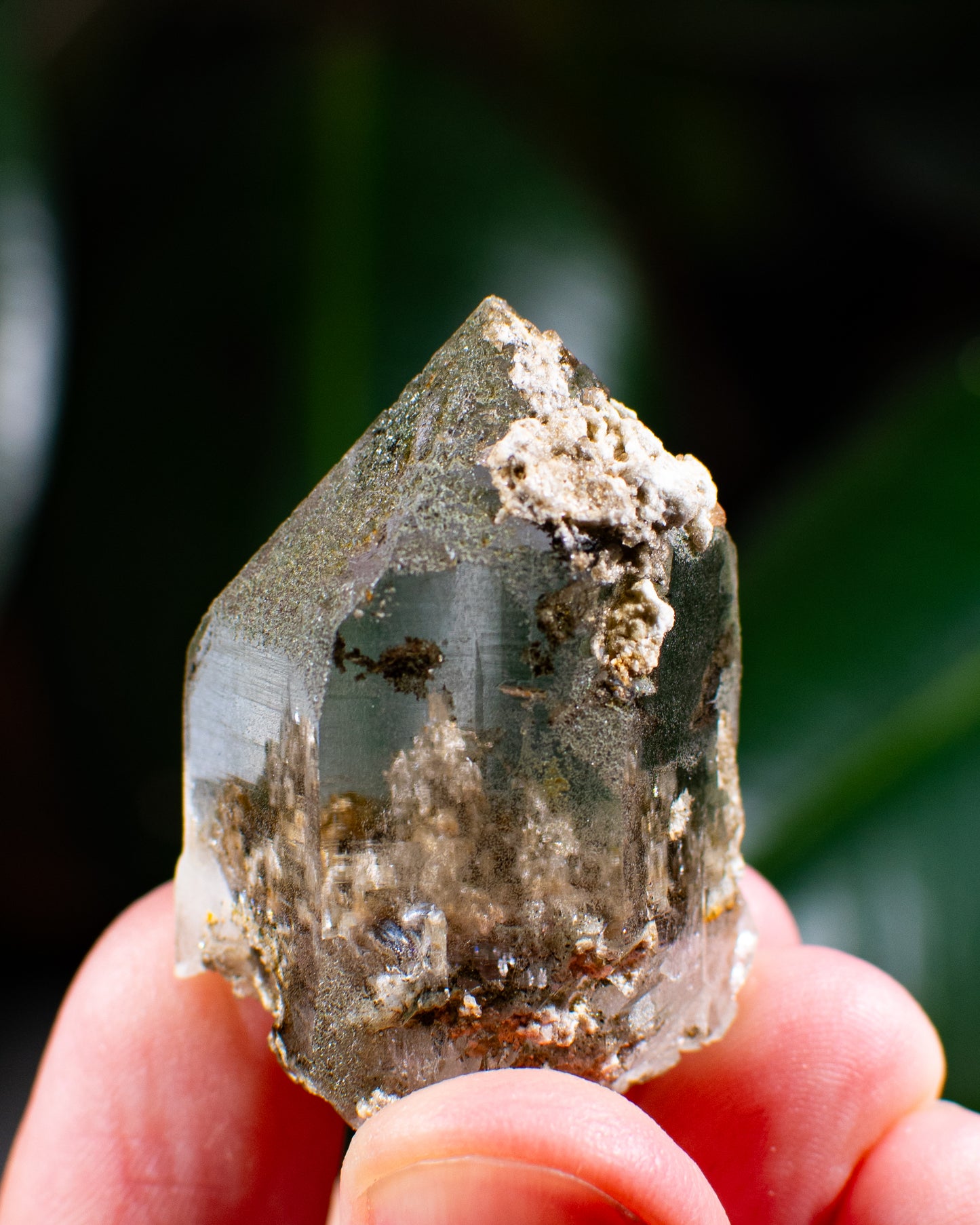 Himalayan Chlorite Quartz Point