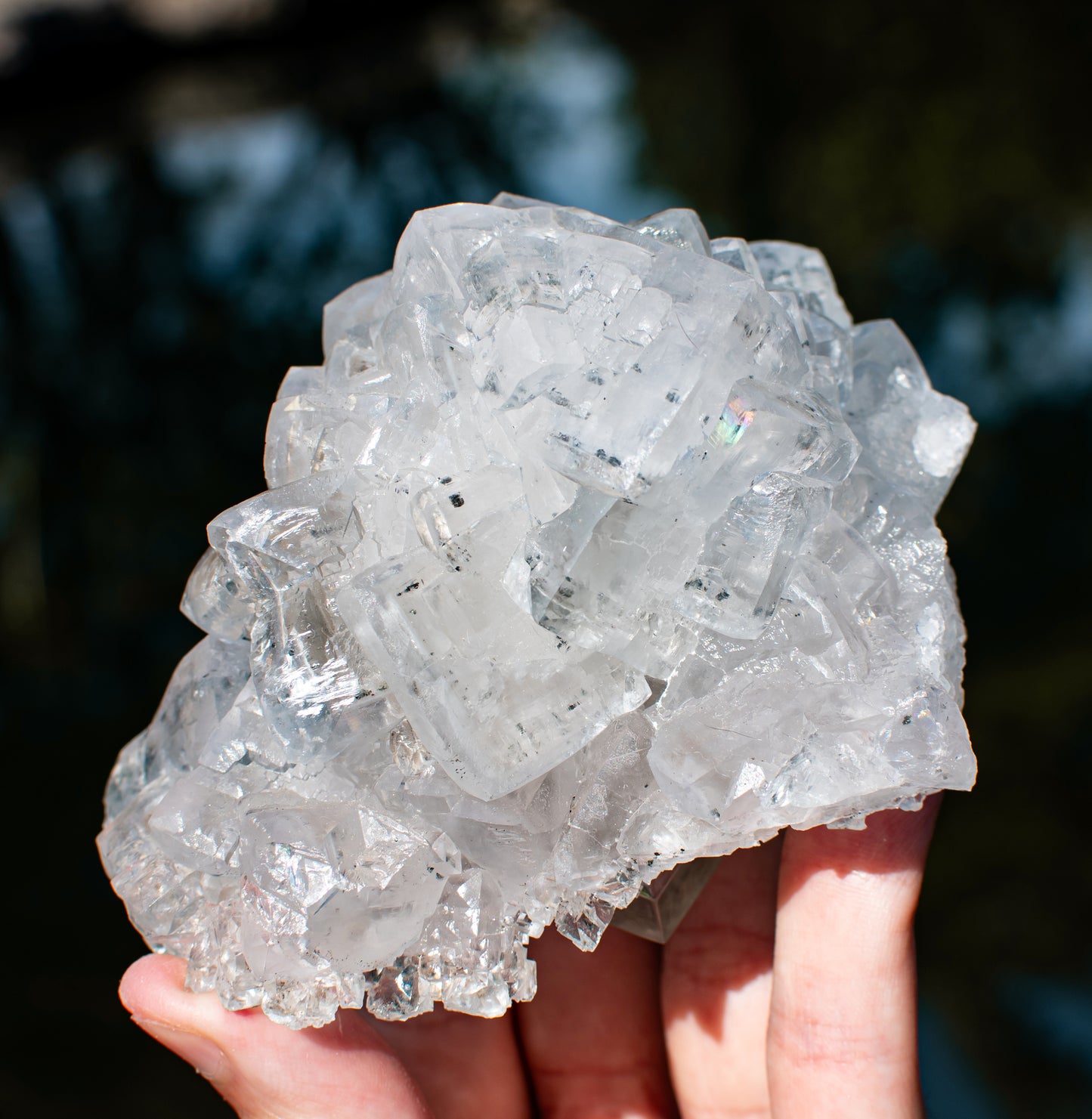 Emilio Mine Fluorite