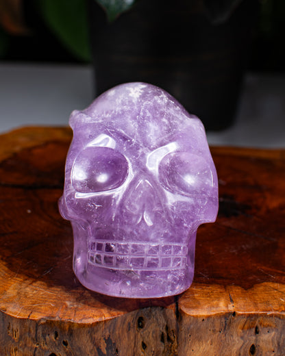 Amethyst Traveler Skull