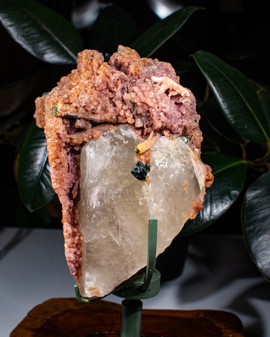 Citrine with Lepidolite and Tourmaline