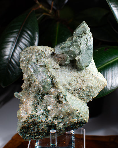 Himalayan Chlorite Quartz Cluster