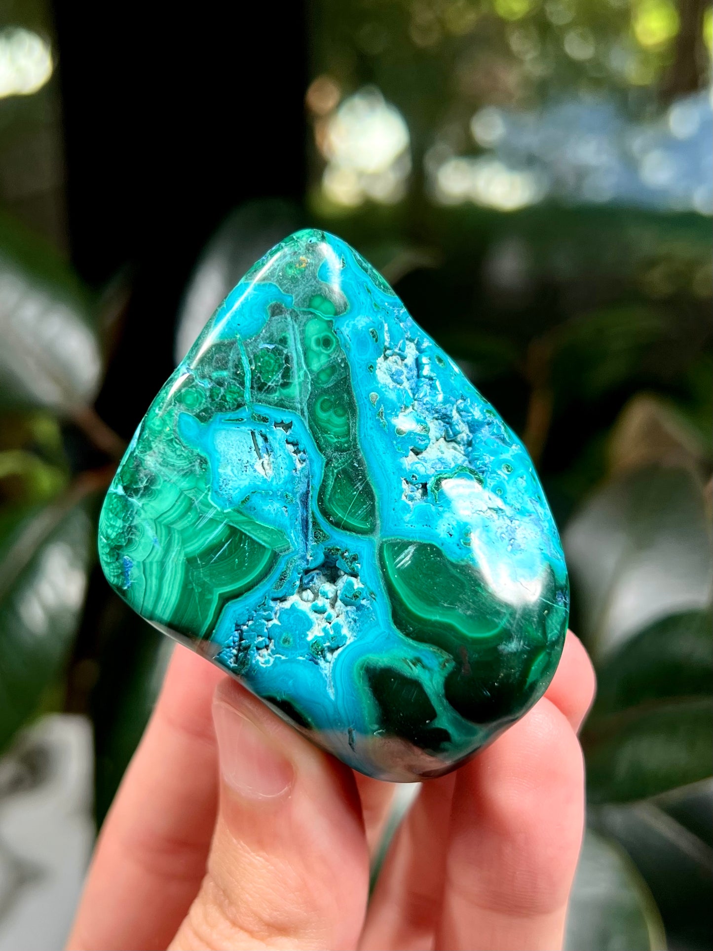 Chrysocolla and Malachite Freeform