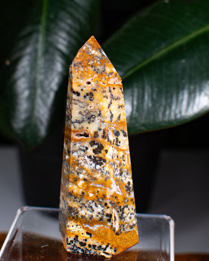 Cheetah Agate Tower