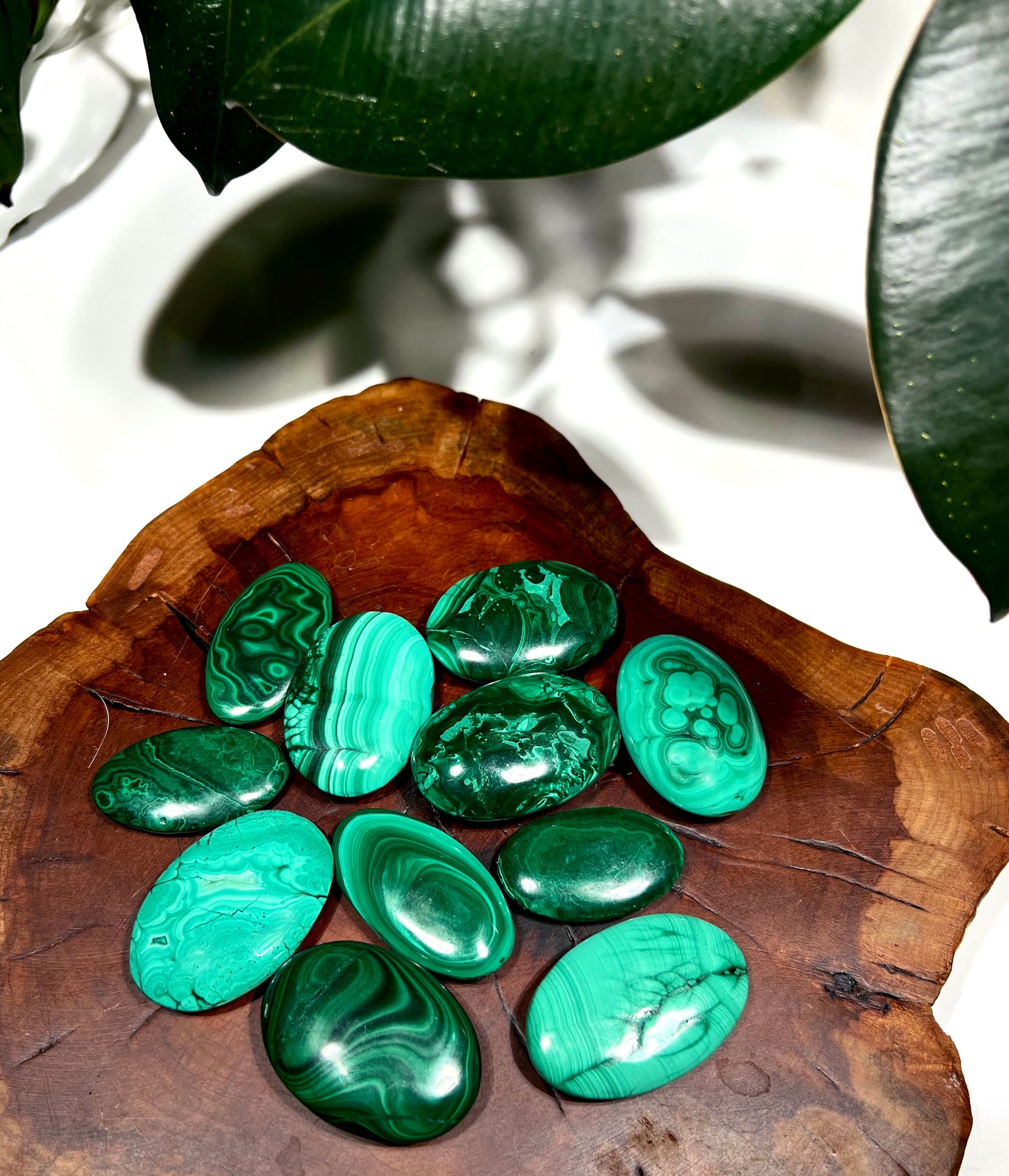 Malachite Palm Stone