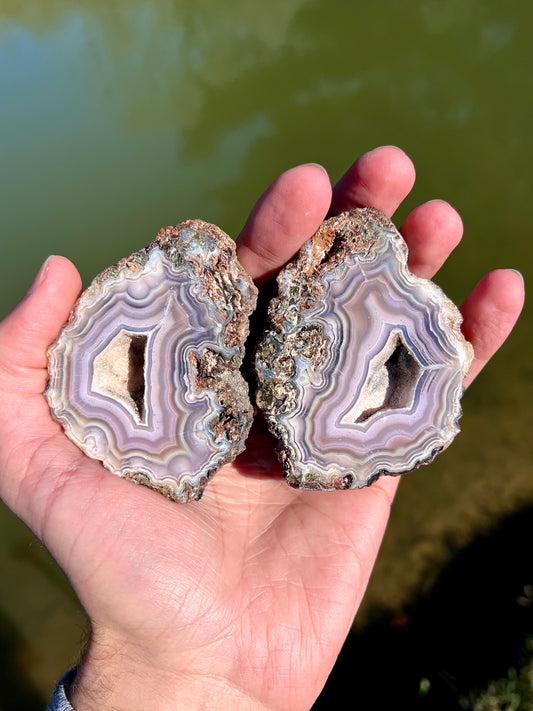 Mexican Agate Pair