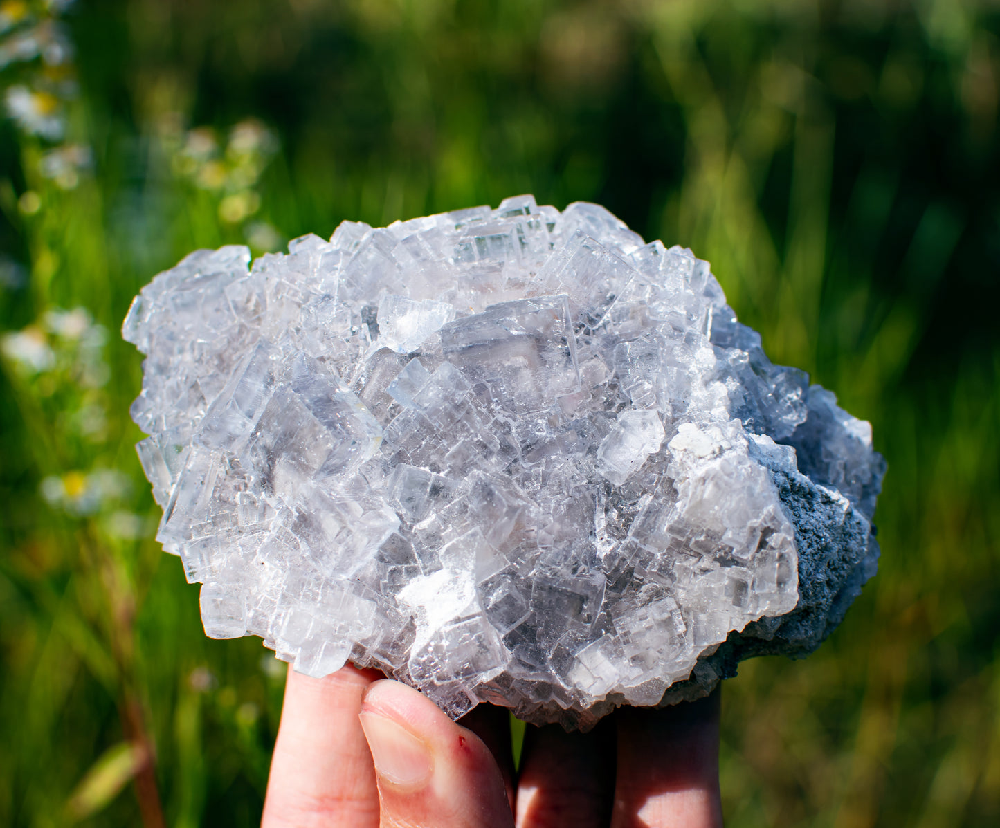 Emilio Mine Fluorite