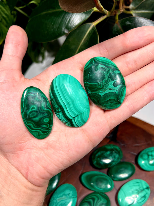 Malachite Palm Stone