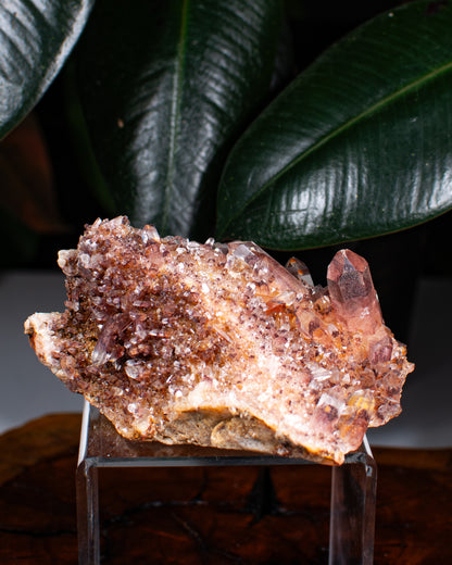 Red Phantom Quartz