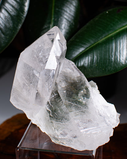 Himalayan Chlorite Quartz Cluster