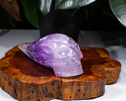 Amethyst Traveler Skull