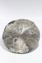 Load image into Gallery viewer, Pyrite Sun - Sparta, Randolph County, Illinois, USA
