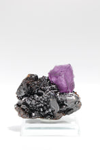 Load image into Gallery viewer, Fluorite with Sphalerite - Elmwood Mine, Carthage, Smith County, Tennessee
