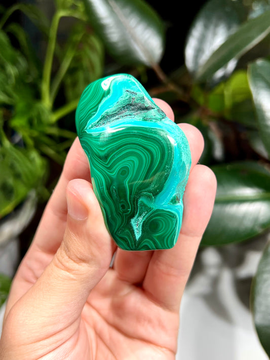 Malachite and Chrysocolla Freeform