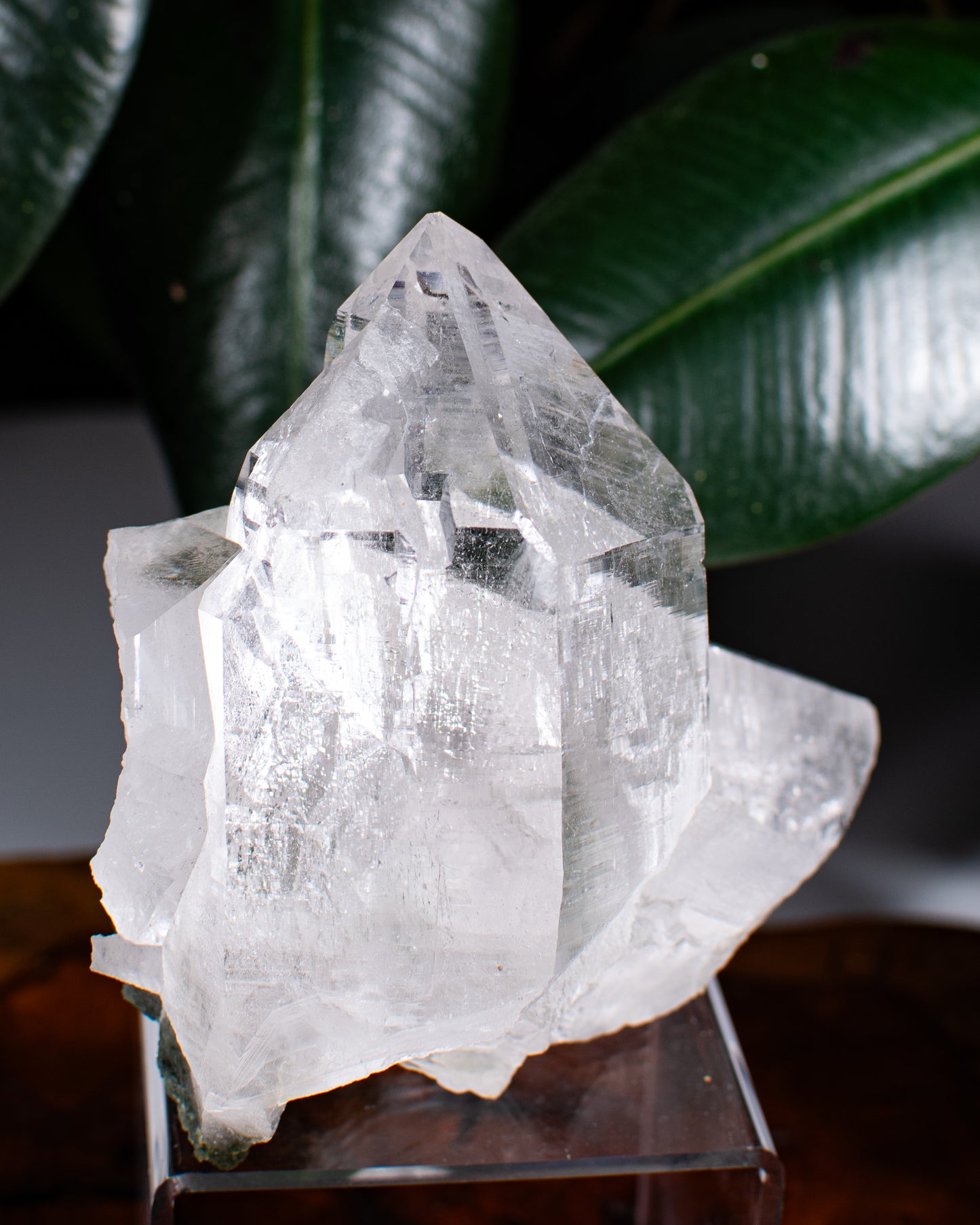 Himalayan Chlorite Quartz Cluster