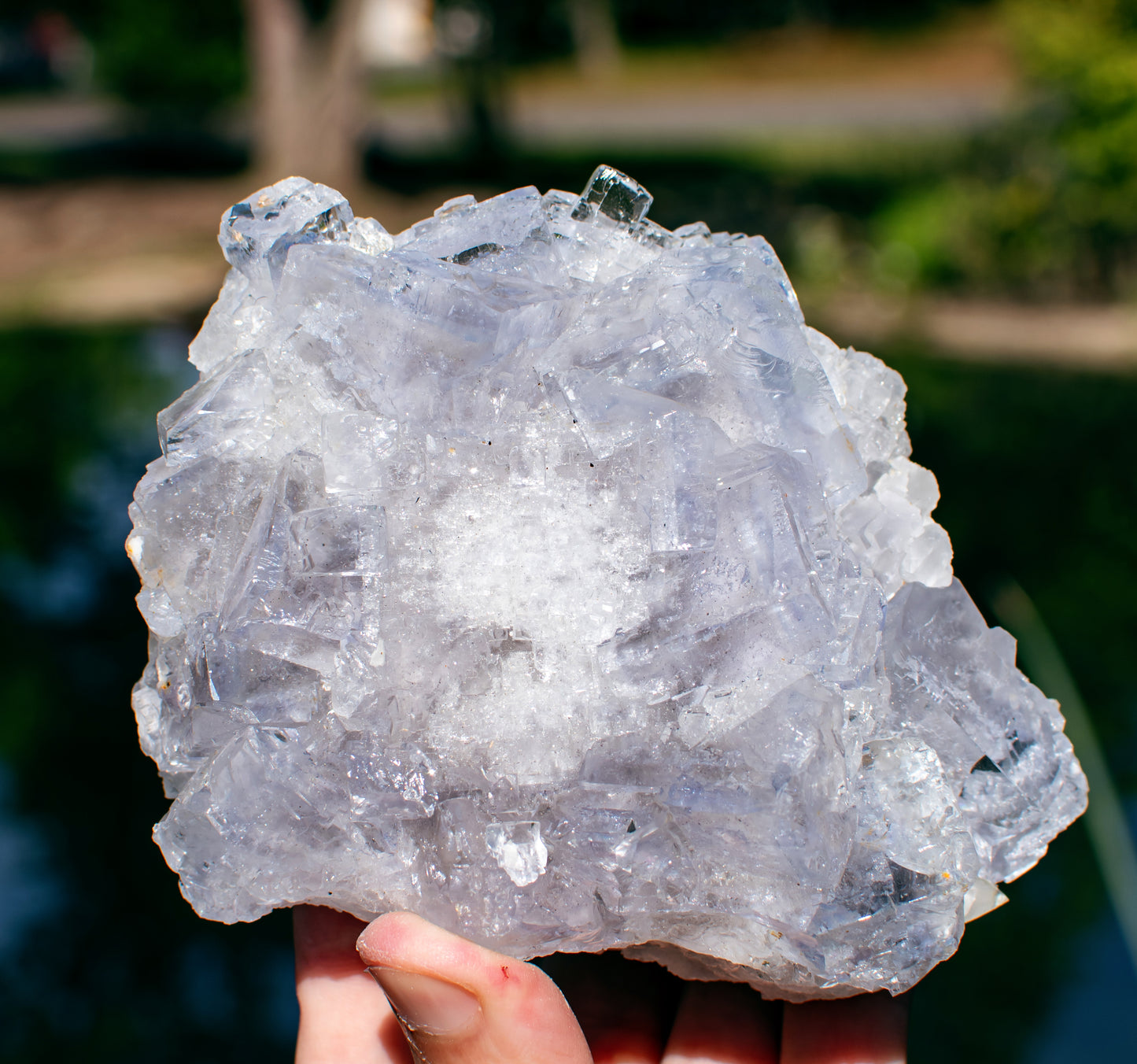 Emilio Mine Fluorite