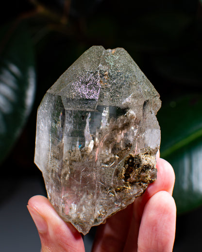 Himalayan Chlorite Quartz Point