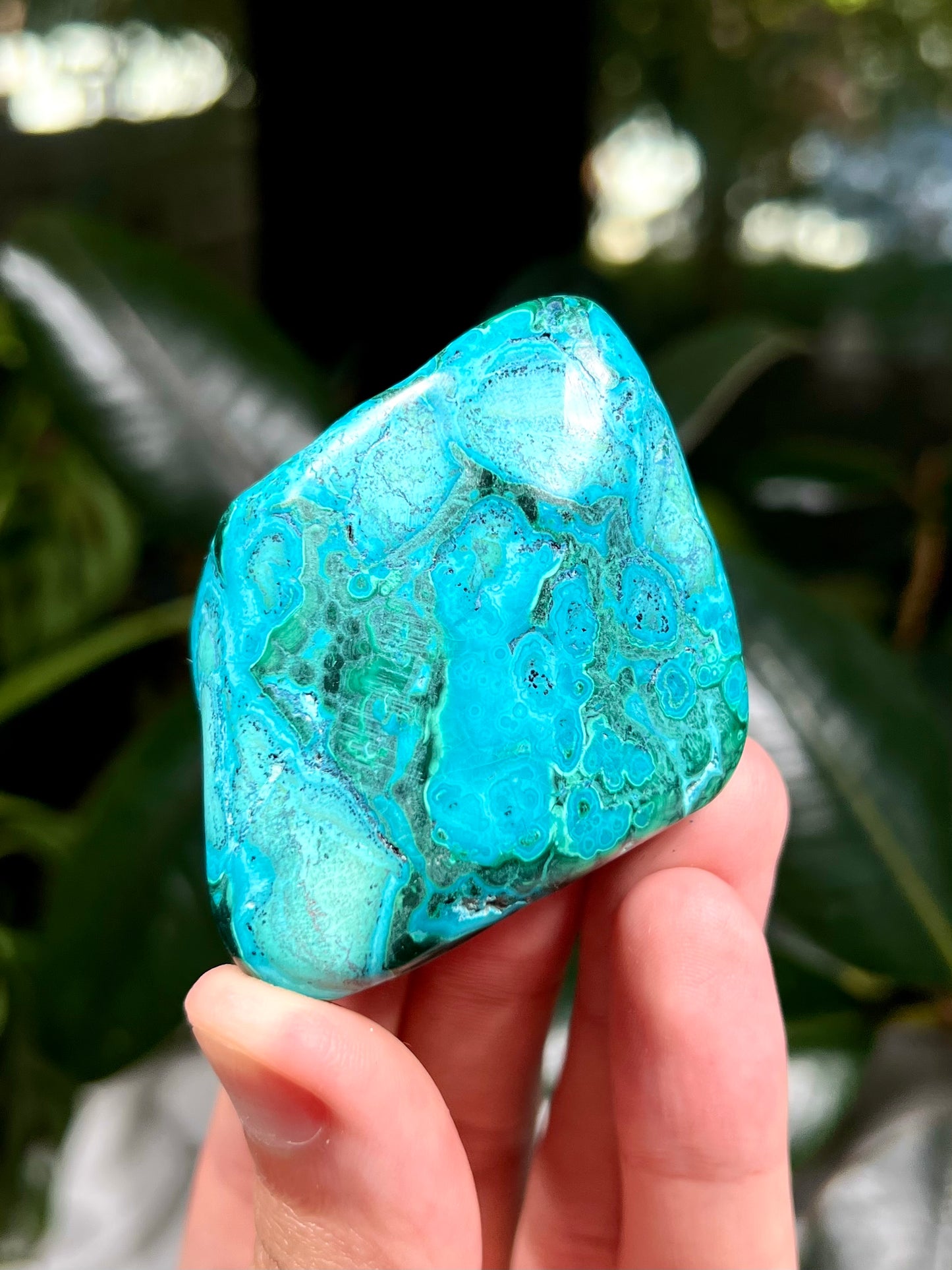 Chrysocolla and Malachite Freeform