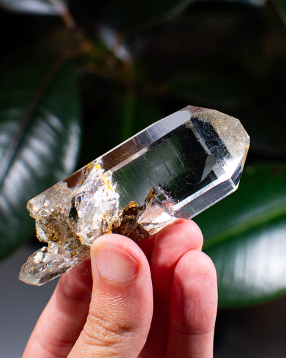 Himalayan Chlorite Quartz Point