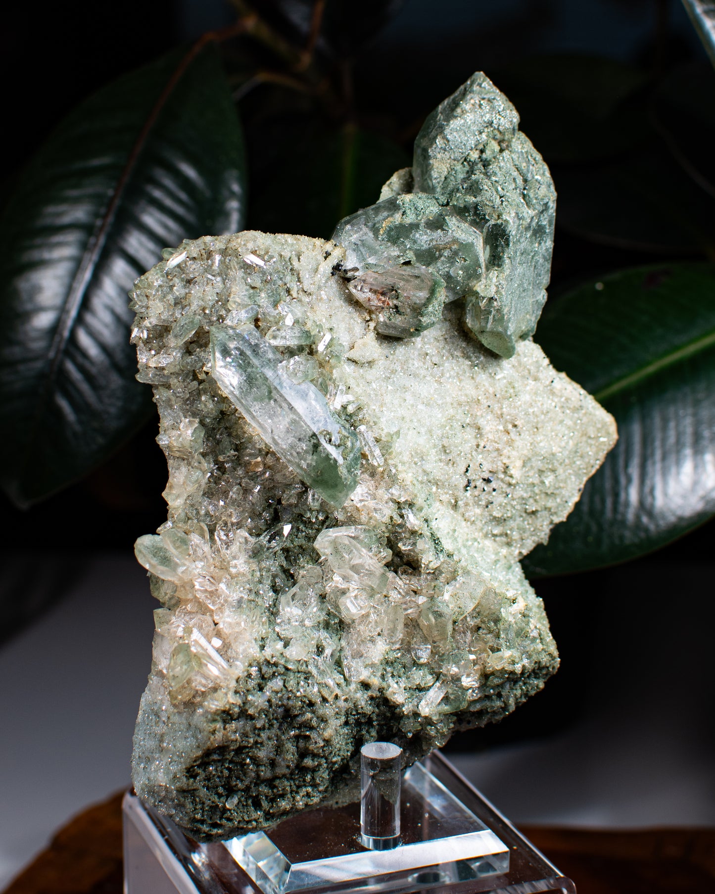 Himalayan Chlorite Quartz Cluster